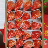 新鲜水果空运极品红颜草莓牛奶草莓香甜奶油草莓3盒全国顺丰包邮