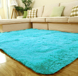 加厚丝毛地毯客厅茶几满铺卧室床边毯防滑地垫门垫特价可定制
