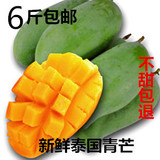 超高好评6份包邮云南西双版纳新鲜水果青皮芒果泰国生吃芒甜500g