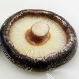 特级农家西峡香菇干货250g/精选野生有机小冬菇蘑菇土特产包邮