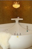 2016特价正品浪鲸（ssww）卫浴 巴度系列按摩浴缸WHALE浪鲸形象缸