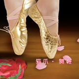 芭蕾舞鞋金银色儿童舞蹈鞋软底练功鞋猫爪鞋女肚皮舞鞋瑜伽鞋成人