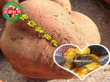 【老颜鲜果】新鲜有机甜大黄蜜罐红黄壤红薯老人养生粗粮10斤包邮