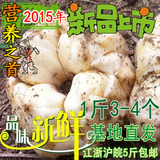 2015新鲜宜兴百合特产/一斤4个内/江浙沪皖5斤包邮/非龙山兰州