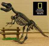 国家地理杂志仿真拼装恐龙骨架骨骼三角龙霸王龙翼龙迅猛龙模型