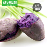 秭归田鲜 新鲜紫薯农家粉香糯小红薯地瓜  紫心番薯5斤包邮
