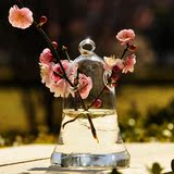mxmade透明玻璃花瓶创意铃铛花瓶可悬挂吊饰花器