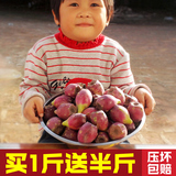 2016野生仙人掌果 仙人果 新鲜水果  热带特产批发 优质红皮 1斤