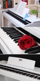 88键重锤专业电子数码钢琴vp-119珠江艾茉森儿童成人智能电钢琴