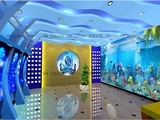 海底世界3d立体墙纸大型壁画海豚海洋鱼卡通儿童主题房背景墙壁纸