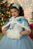 万圣节冬季外贸新款女童装冰雪奇缘连衣裙披肩帽礼服公主裙灰姑娘
