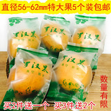 罗汉果特级5个包邮 新鲜低温真空冻干脱水黄金果茶 广西桂林特产