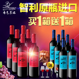 智利红酒原装原瓶进口赤霞珠干红葡萄酒买一箱送一箱智利梅洛红酒
