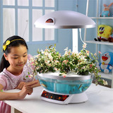 限时特价魔图农场时尚简约台灯创意新奇特别灯具智能白色花盆鱼缸