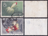 特38 金鱼中上品信销散票12-10 12-11二种  老纪特邮票满百包挂号