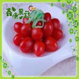 哈尔滨新鲜水果蔬菜 特级圣女果 小西红柿小柿子营养11.5/2斤应季