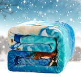 冬季拉舍尔毛毯双层加厚珊瑚绒毯子双人单人法兰绒学生盖毯空调毯