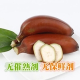 南靖土楼农家特产新鲜热带水果漳州红皮米香蕉农产品5斤批发包邮