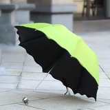YTY两支包邮黑胶防紫外线晴雨伞折叠遇水浮花的伞/见光显花伞折叠