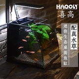 Haqos喜高 大肚子创意鱼缸 小型生态玻璃水族箱 迷你水草造景鱼缸