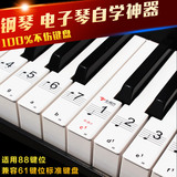 贴无胶吸附型88键 61键透明五线谱简谱琴键贴纸钢琴 电子琴键盘