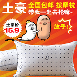 枕头枕芯正品特价一对拍2 可水洗成人护颈枕单人学生羽丝绒枕头