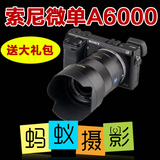 【两年联保】蚂蚁摄影索尼微单电数码相机Sony/索尼 ILCE-A6000L
