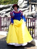 迪士尼成人白雪公主裙卡通服装卡通人偶人偶卡通衣服表演服装1