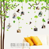 可移除 大树照片墙 田园客厅卧室玄关电视沙发背景墙植物花卉墙贴