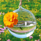 悬挂透明水晶玻璃花瓶现代欧式 玻璃吊球 创意水培花器 植吊瓶
