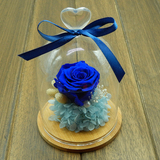 【顺丰包邮】永生花玻璃罩进口保鲜花蓝色妖姬玫瑰生日礼物情人节