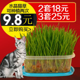 猫零食 水晶猫草营养猫草种子猫草种植套装猫去毛球调理肠胃包邮