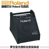 【Roland专卖店】PM-10罗兰电鼓专业监听音箱pm10 包邮