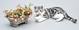 纯种家养活体宠物/美短标准纹母/美国短毛猫 银虎斑 起司猫 展示