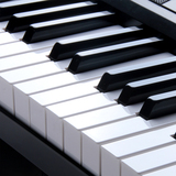 6键成人电子琴 钢琴键 儿童入门初学白色/黑色电子琴C2N