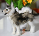 仿真动物模型 哈士奇 宠物狗 小狼狗 拍摄道具教科用品 毛绒玩具
