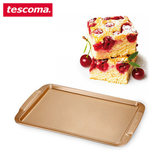 捷克tescoma正品家用烤盘烤箱专用长方盘模具铸铁烧烤烘焙工具