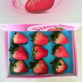 新鲜红颜草莓 四川双流冬草莓 有机奶油草莓 无公害水果 2盒包邮