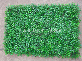 40X60仿真米兰草坪 瓜子草坪 豆芽塑料假草坪室内外装饰草坪