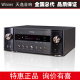 Winner/天逸 AD-9313EHD AV功放功率放大器扩音器