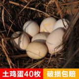 正宗当天散养土鸡蛋农家纯天然自养新鲜月子有机笨鸡蛋40宝宝辅食