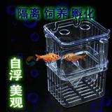 包邮热带鱼小型鱼孔雀自浮式多功能隔离盒孵化繁殖盒 迷你型
