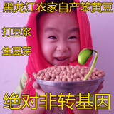 大豆东北黑龙江农家自产有机笨黄豆打豆浆发豆芽非转基因大豆250g