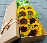9朵向日葵长方形礼盒成都鲜花速递郫县温江双流新都彭州同城配送