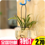 创意水培花瓶 南瓜玻璃花瓶 小吊瓶插花透明玻璃花瓶 配送铁环