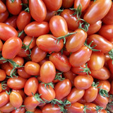 丹东东港99草莓地草莓番茄小柿子 东港409小柿子圣女果 有机水果