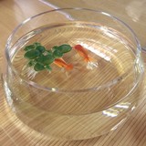 创意水族生态圆形透明玻璃金鱼缸大号乌龟缸桌面迷你小型水培花瓶