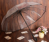 限时包邮透明雨伞 长柄伞日本小清新雨伞 创意自动男女情侣雨伞