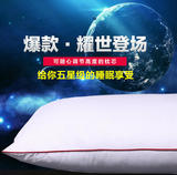 【天天特价】出口国际水洗五星级枕芯舒适保健一对拍2包邮