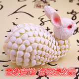 包邮天然贝壳海螺工艺品小白兔生肖兔摆件 礼品纪念品创意可爱饰